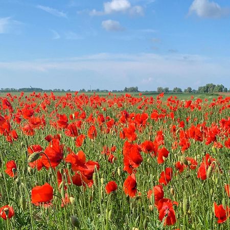 Ferienwohnungen Klein Kapelle Gingst Kültér fotó