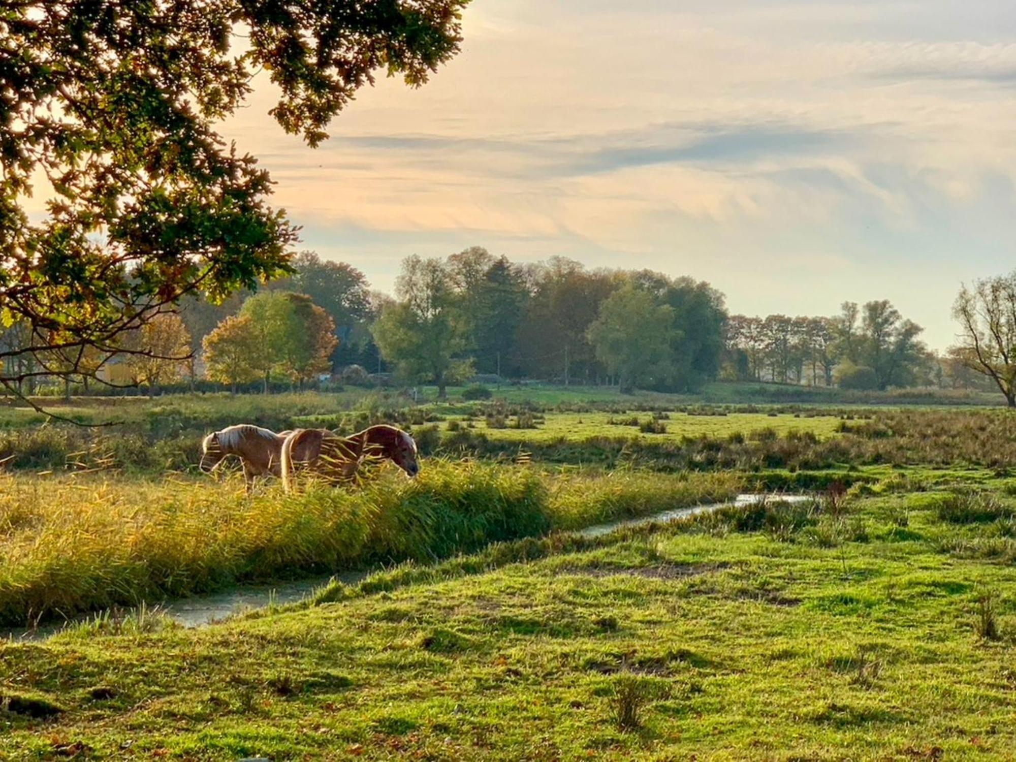 Ferienwohnungen Klein Kapelle Gingst Kültér fotó
